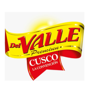 logo-del-valle-300x300